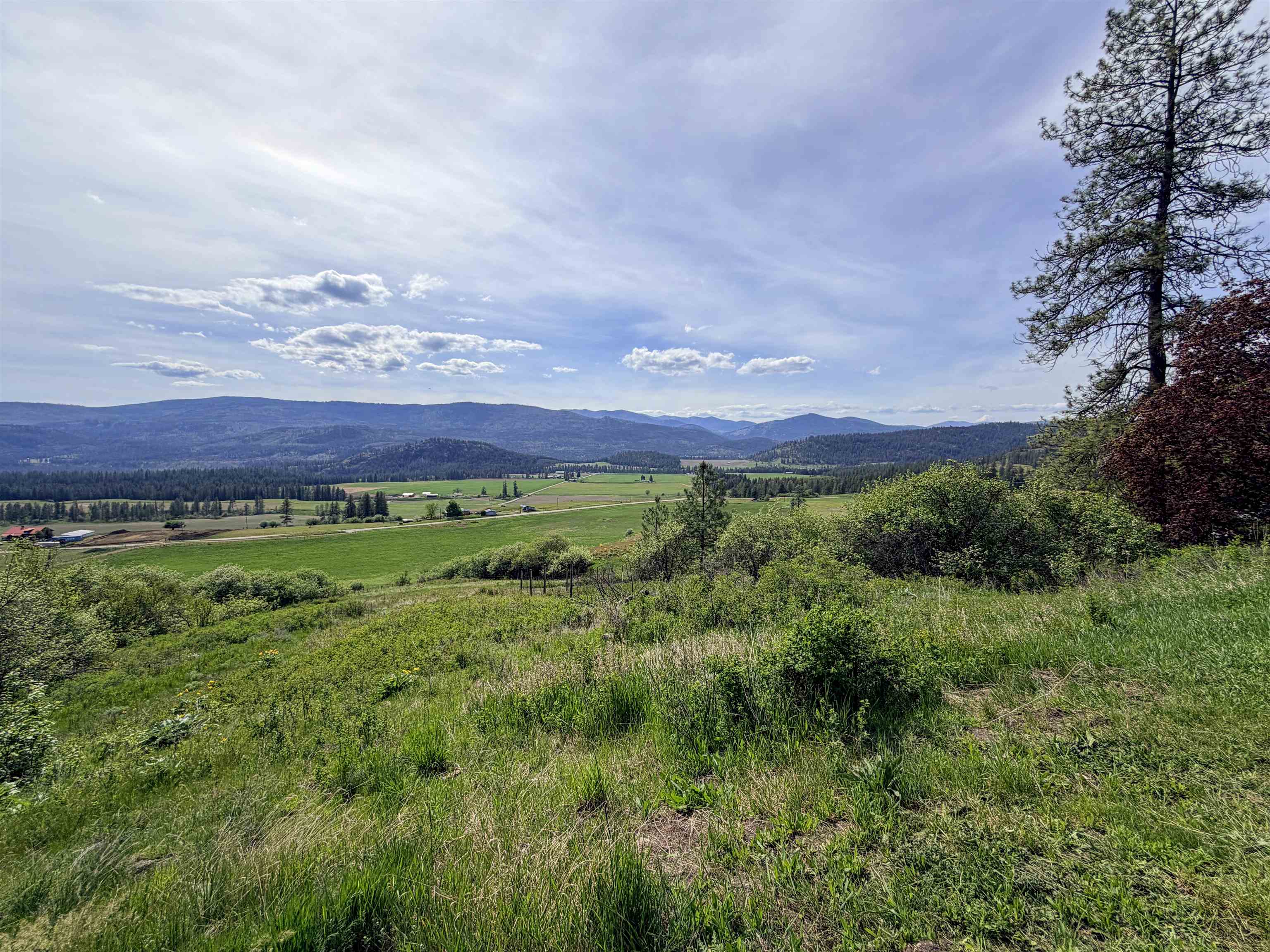 2897 McNitt Road Kettle Falls, WA 99141 - Photo 37 of 47