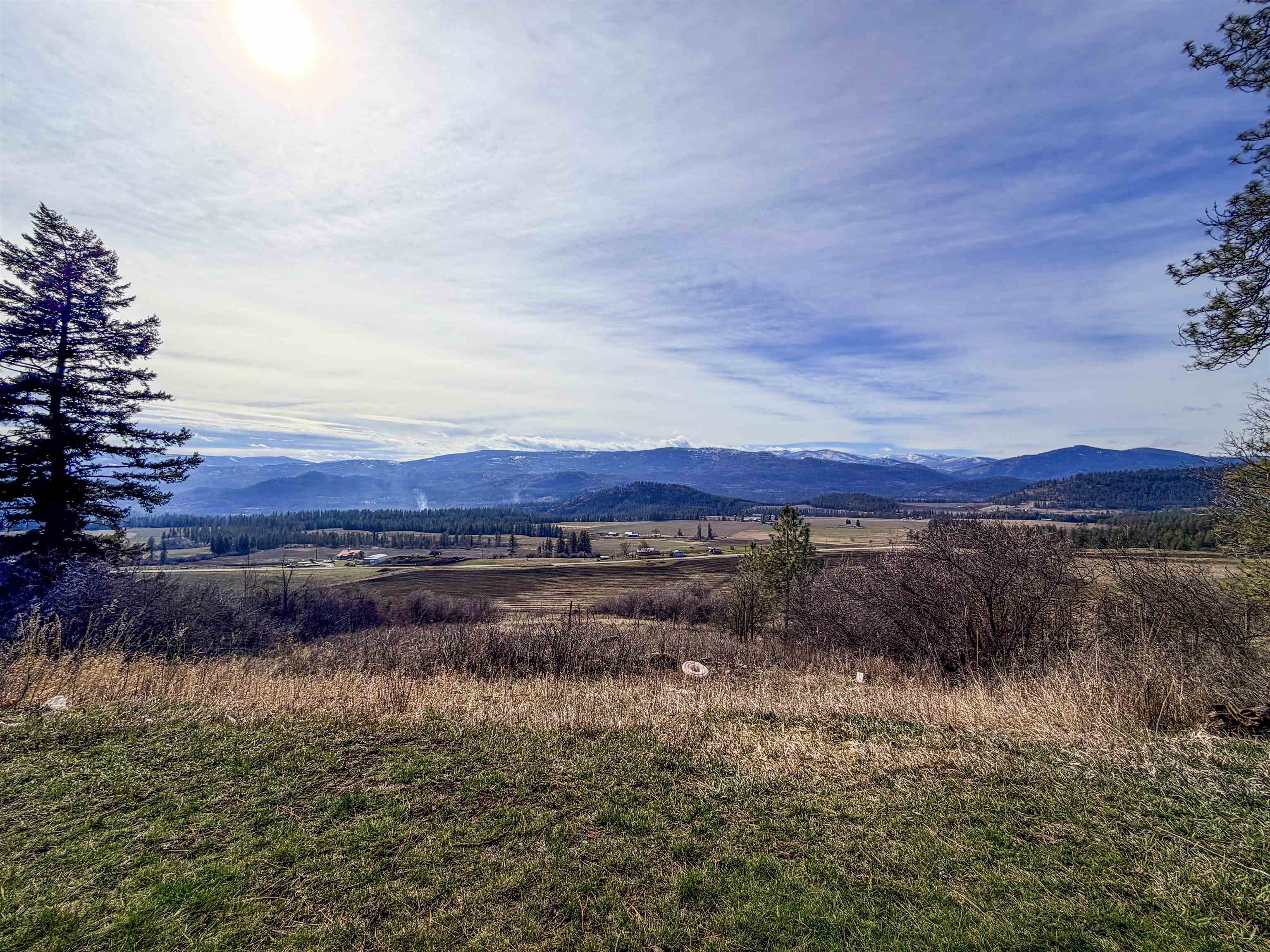 2897 McNitt Road Kettle Falls, WA 99141 - Photo 4 of 42