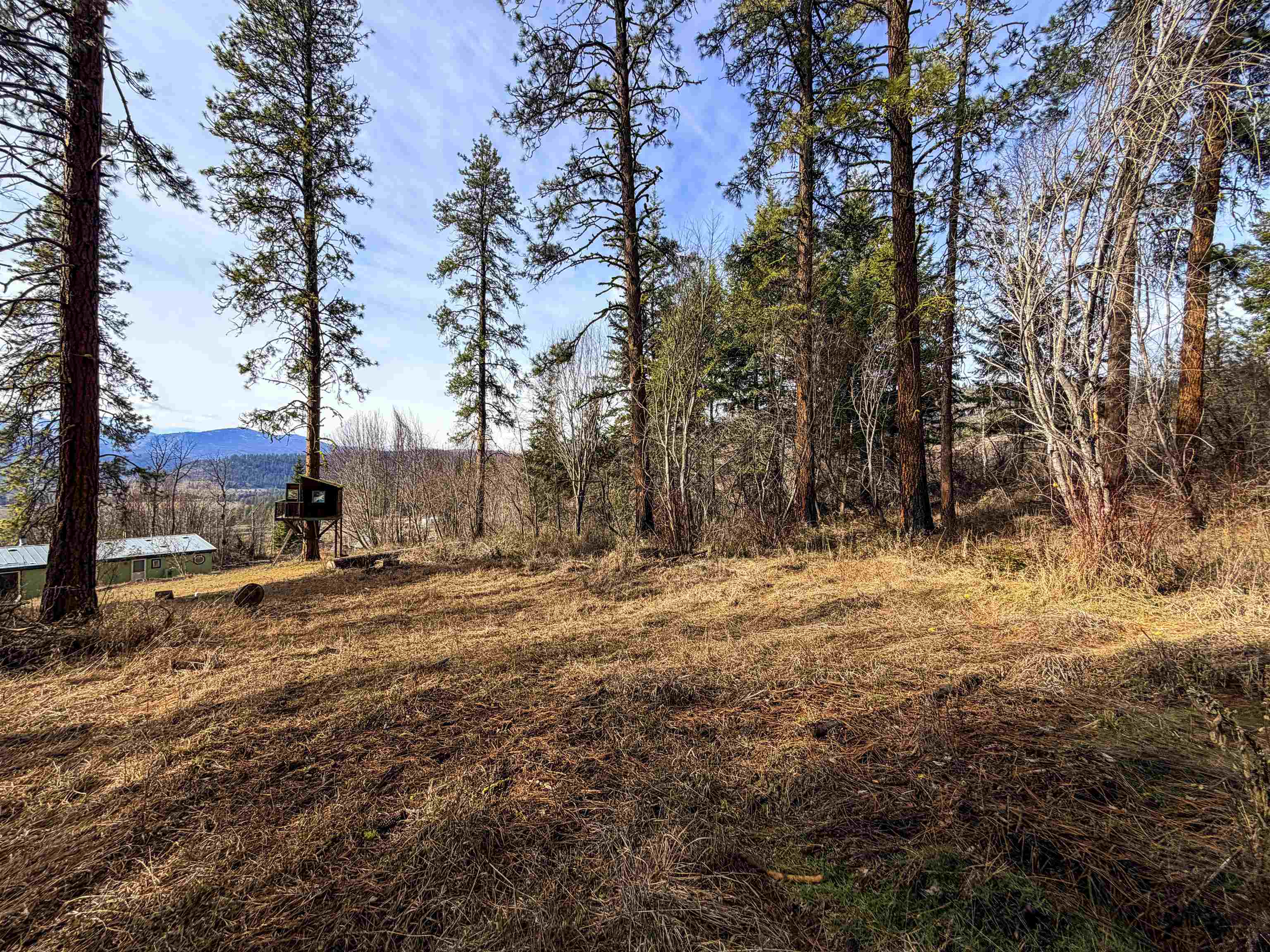 2897 McNitt Road Kettle Falls, WA 99141 - Photo 41 of 47