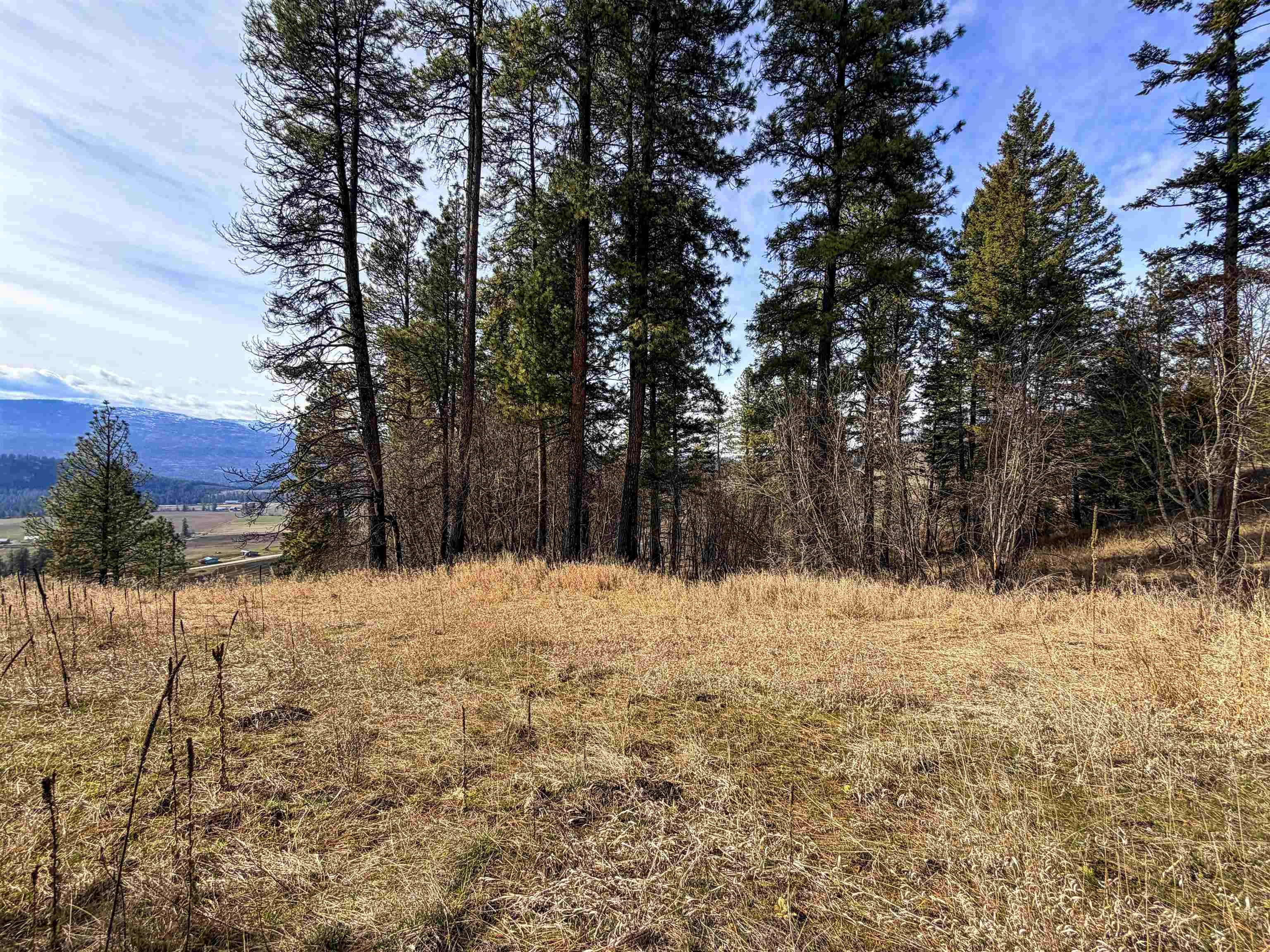 2897 McNitt Road Kettle Falls, WA 99141 - Photo 42 of 47
