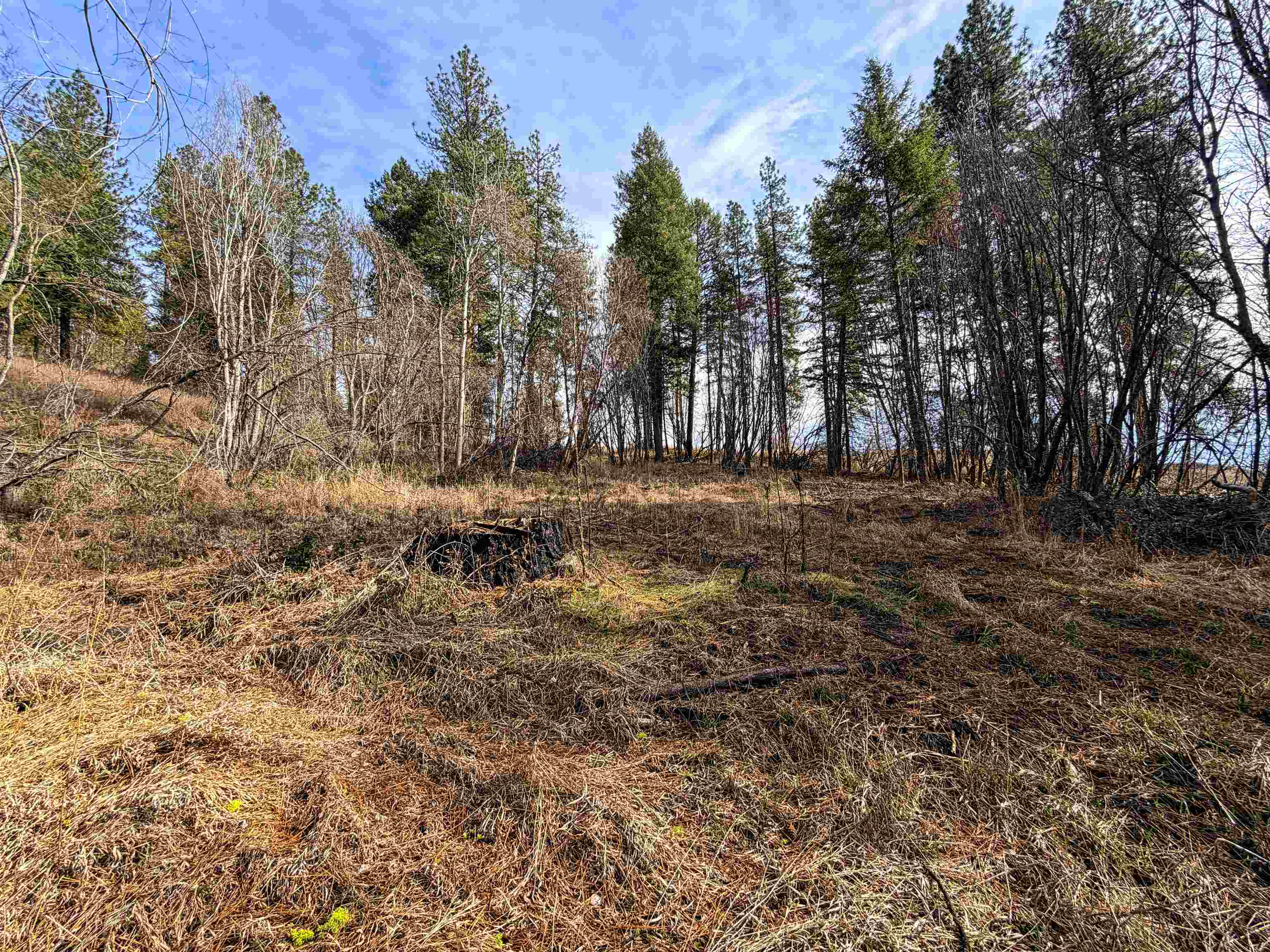 2897 McNitt Road Kettle Falls, WA 99141 - Photo 45 of 47
