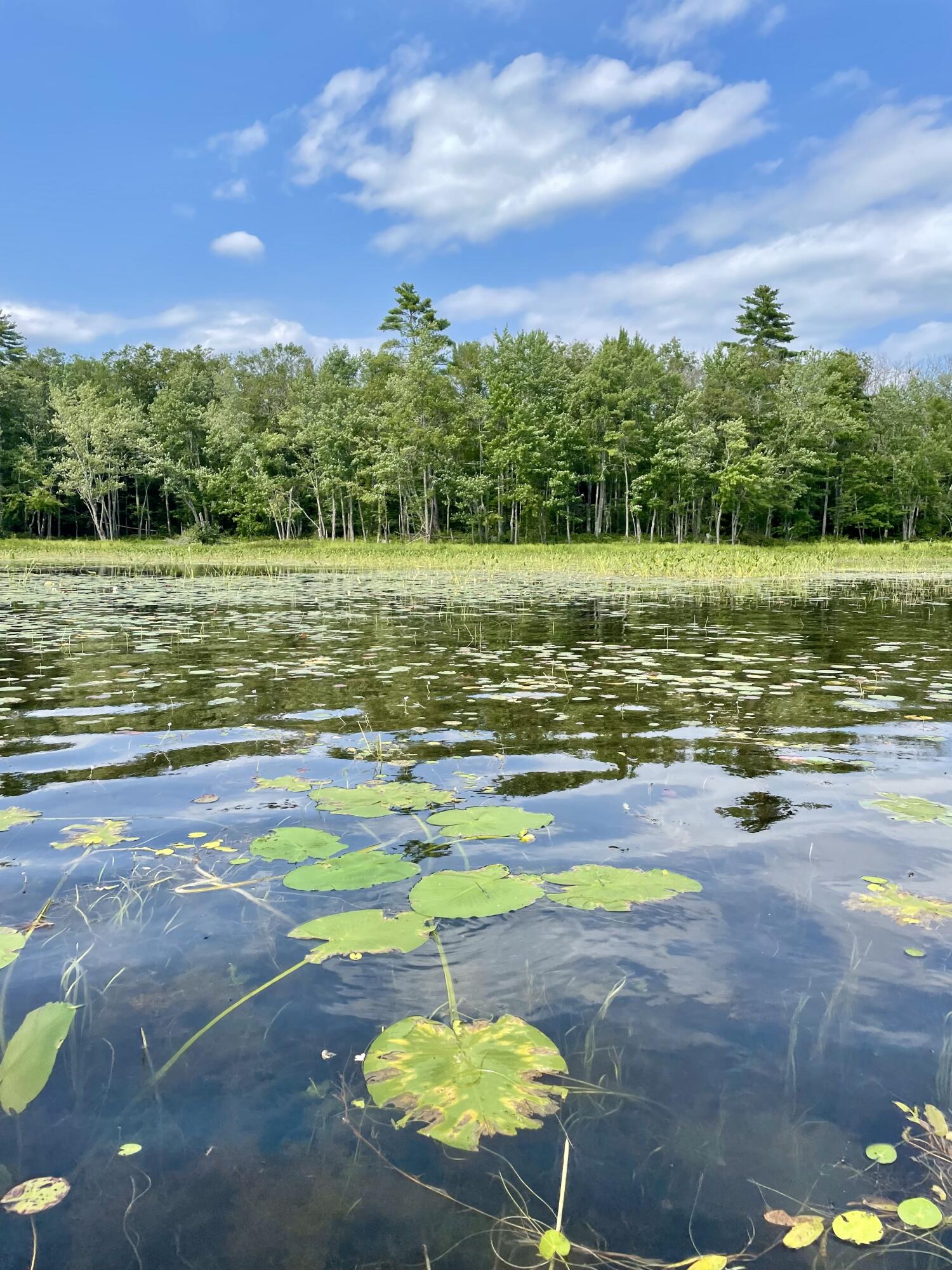 273 Stow Road Stow, ME 04037 - Photo 54 of 57 Charles Pond