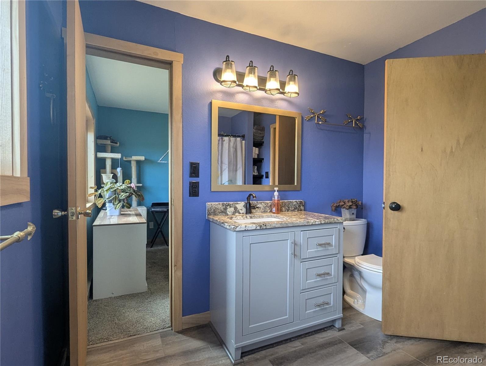2084 Forbes Park Road Fort Garland, CO 81133 - Photo 32 of 39 a bathroom with a sink and a mirror