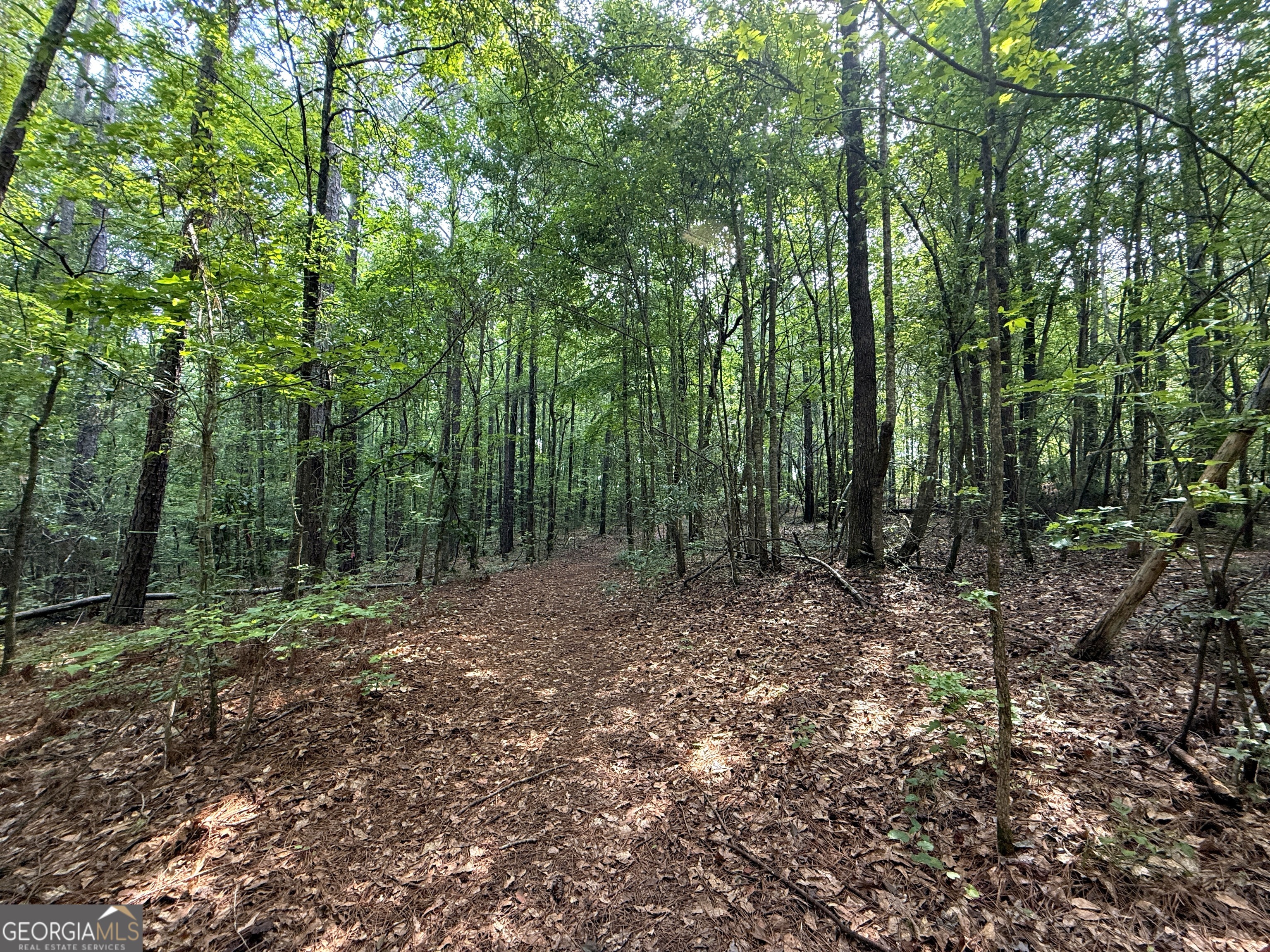 2391 Chalybeate Road Manchester, GA 31816 - Photo 12 of 15 a view of outdoor space and green space