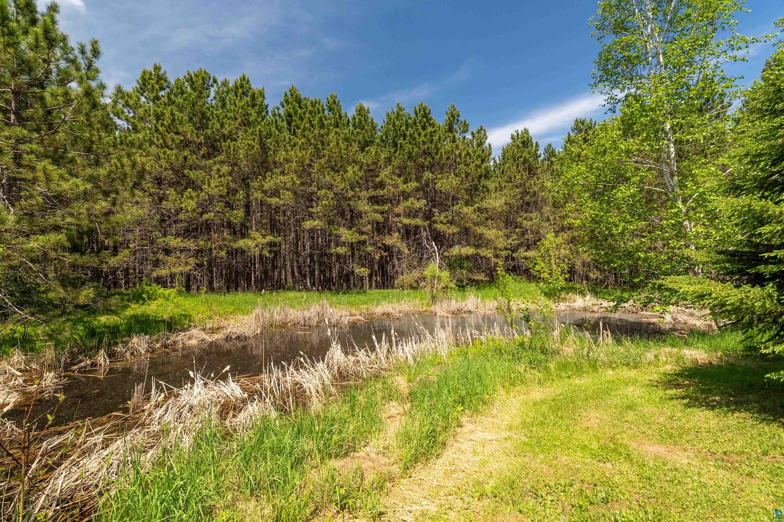 75 East Stark Road Esko, MN 55733 - Photo 73 of 87 Natural wetland area with dense pine forest backdrop