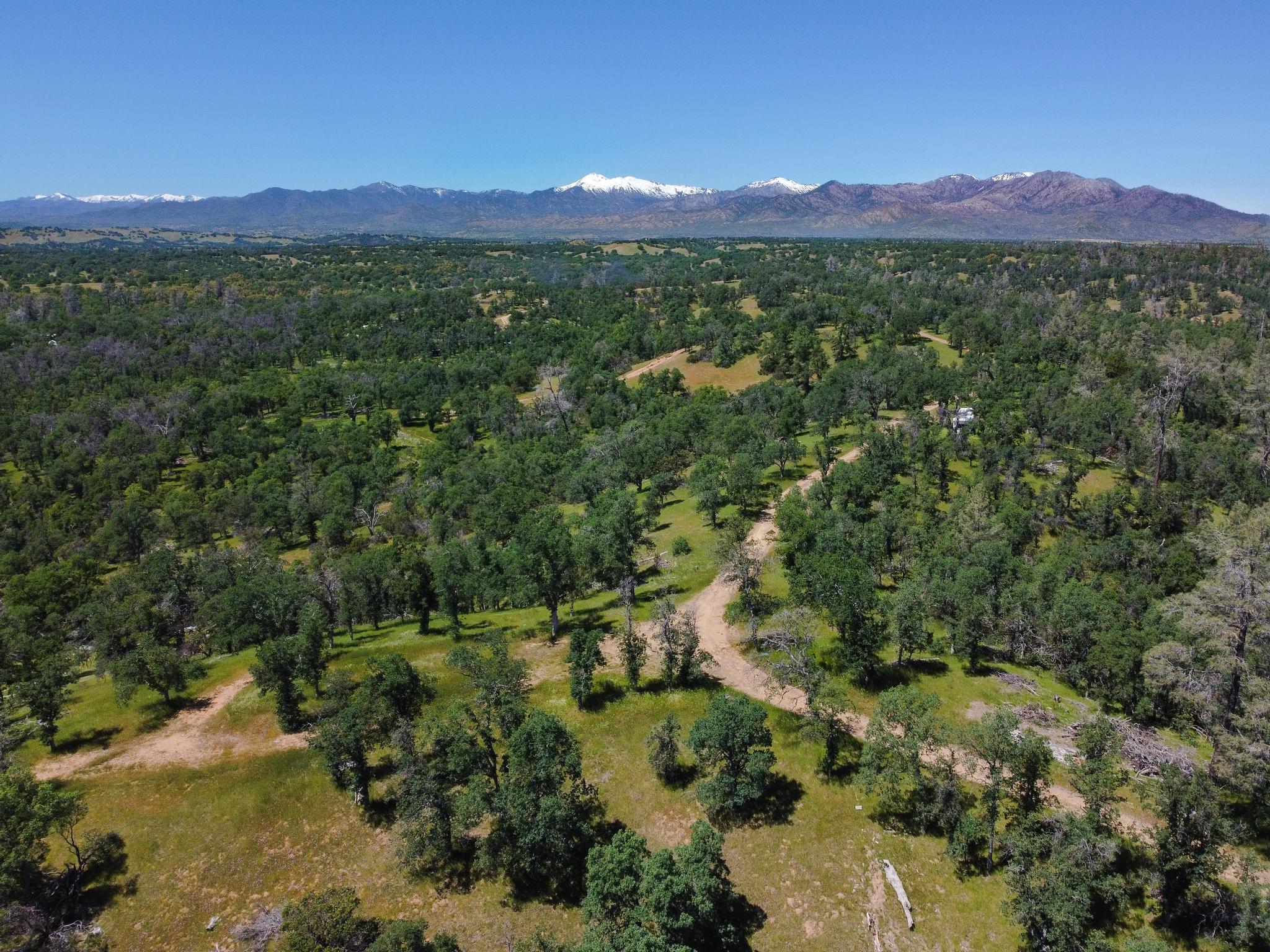 40 Two Feathers Road Igo, CA 96047 - Photo 10 of 16 DJI_0101