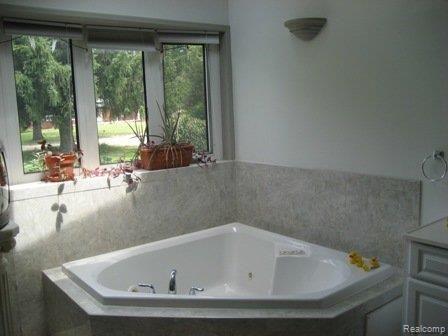 41815 Riggs Road Belleville, MI 48111 - Photo 10 of 22 Jacuzzi tub in Master Bath