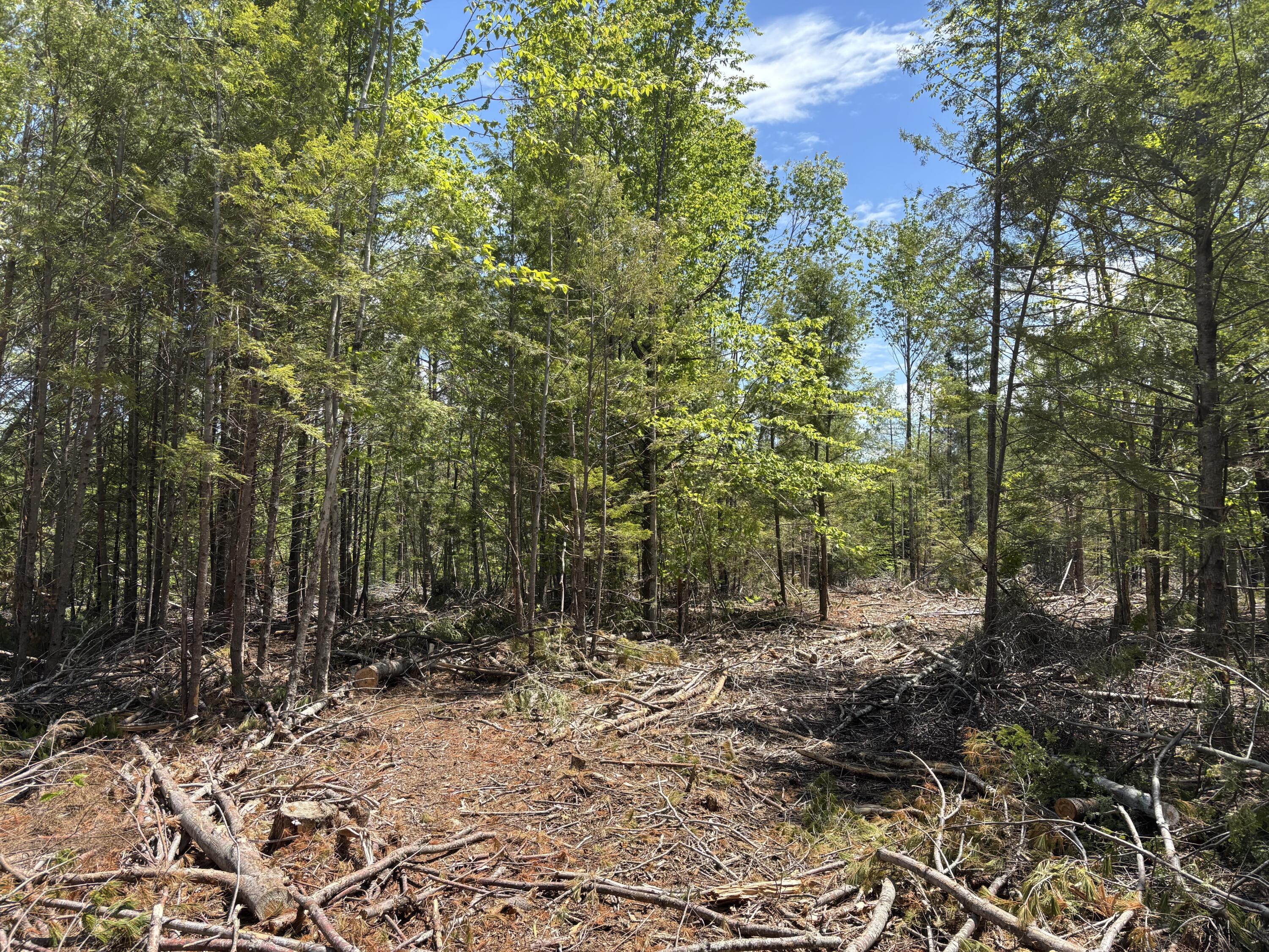 2-l 1 Off Bean Road Mercer, ME 04957 - Photo 2 of 14 IMG_2366