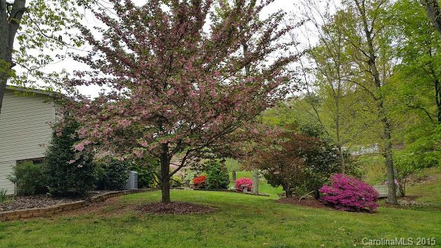 407 Chestnut Ridge Road Kings Mountain, NC 28086 - Photo 3 of 24 Gallery Image 3