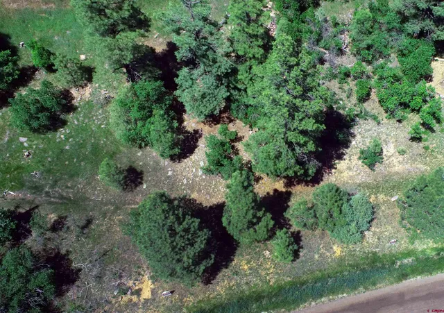 an aerial view of residential house with outdoor space and trees all around
