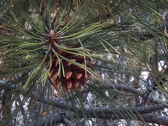 a view of under construction area