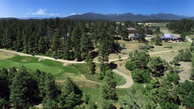 a view of a lush green forest with mountains in the background