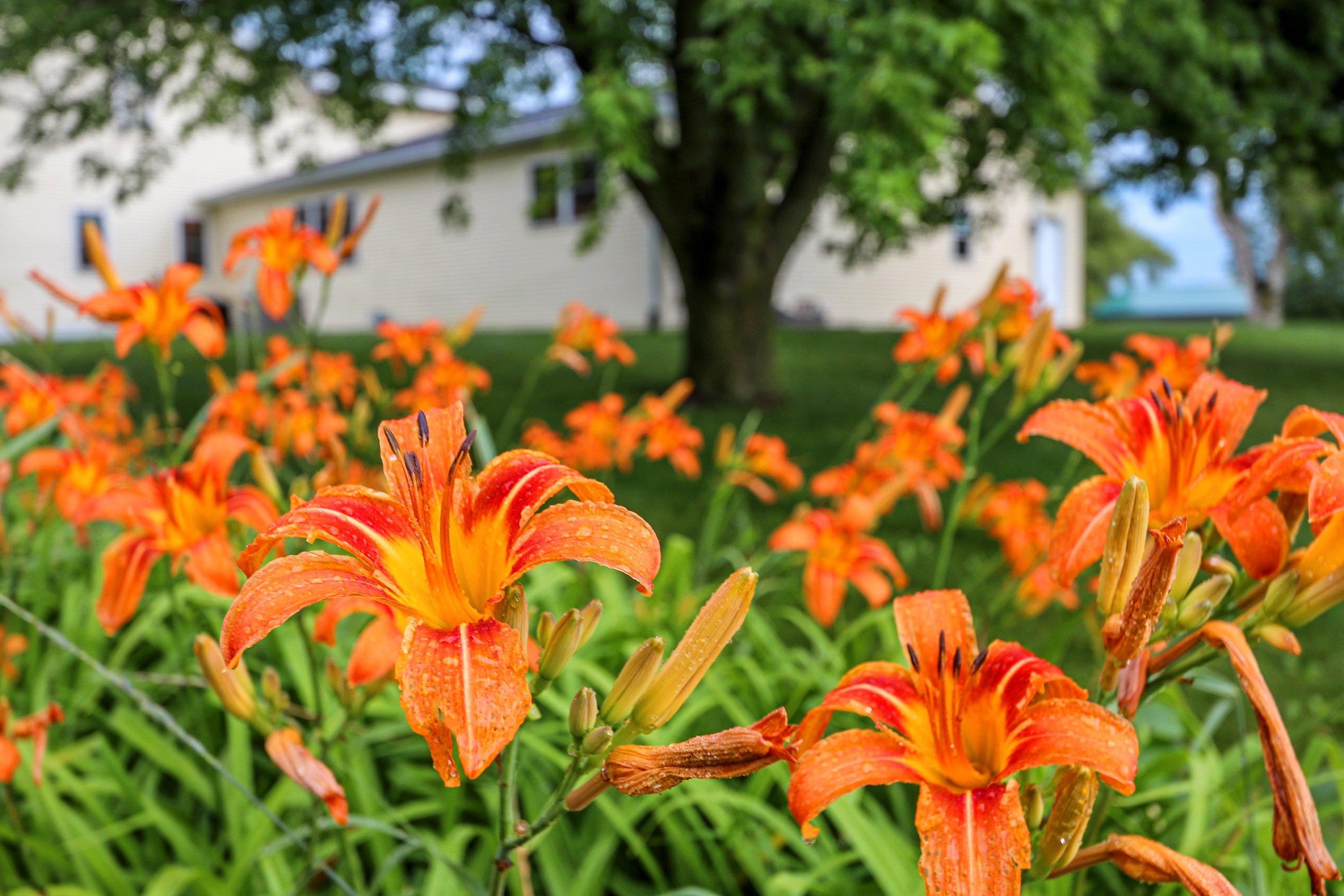 N2025 Willow Road Pulaski, WI 54162 - Photo 59 of 71