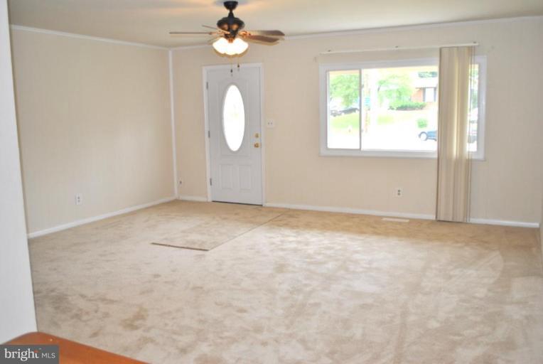 6601 Fargo Street Springfield, VA 22150 - Photo 4 of 15 Huge picture window, new carpet and ceiling fan/lt