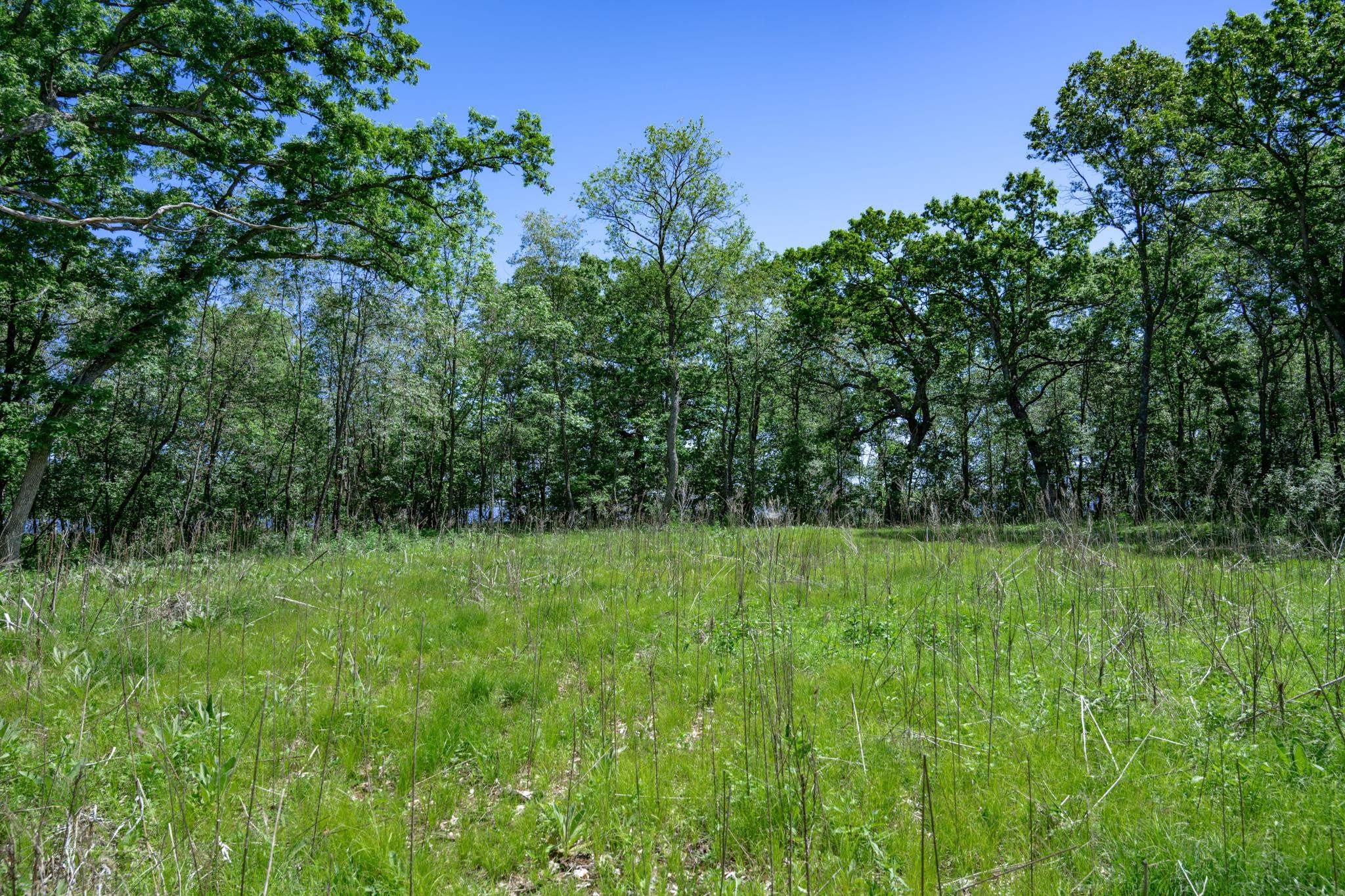 N14672 Porter Road Nekoosa, WI 54457 - Photo 33 of 51