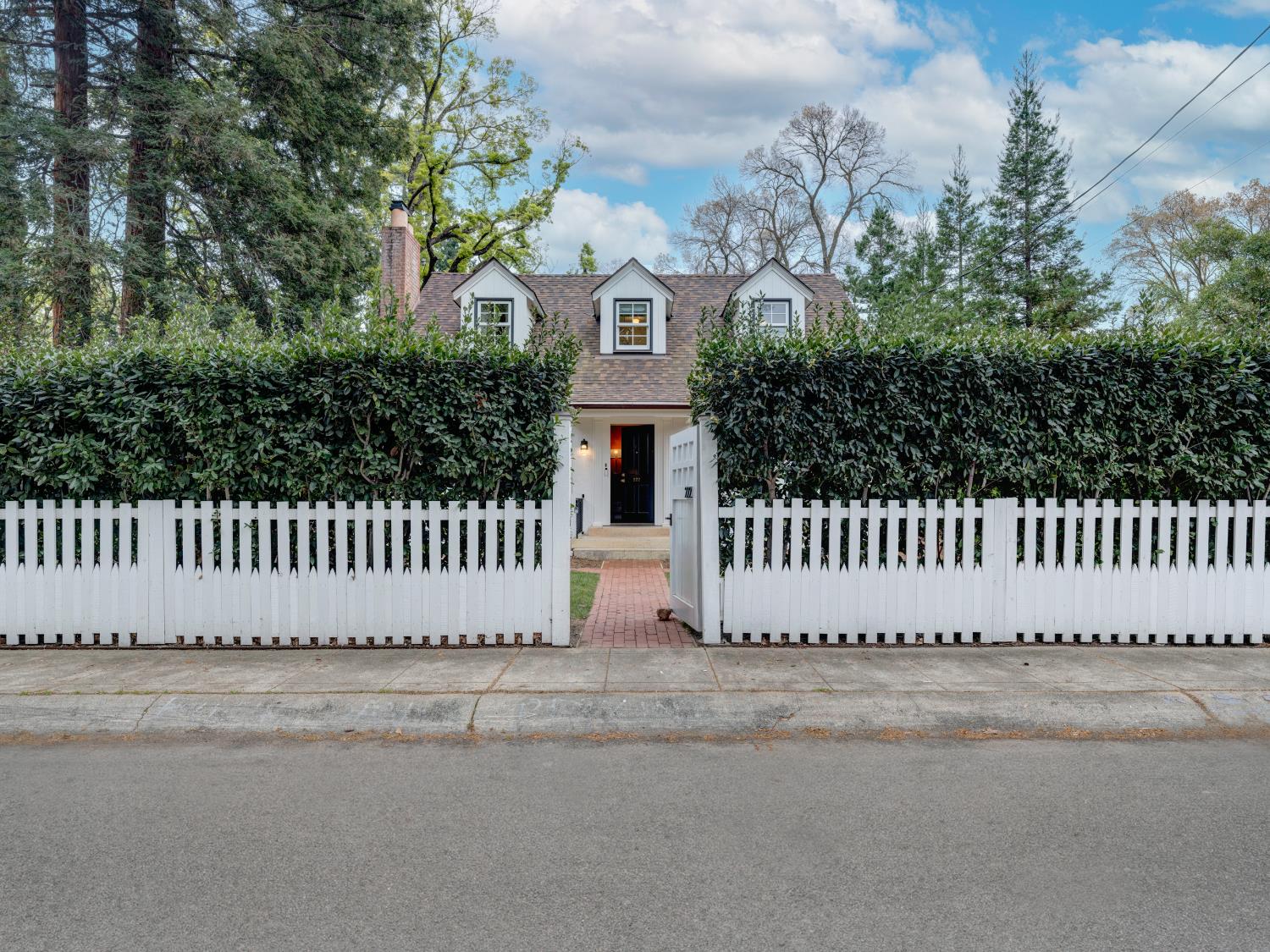 222 Rice Lane Davis, CA 95616 - Photo 47 of 48