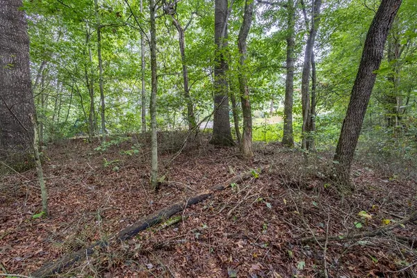 $39,900 | 3-ac Chestnut Flts Road, Andrews, NC 28901