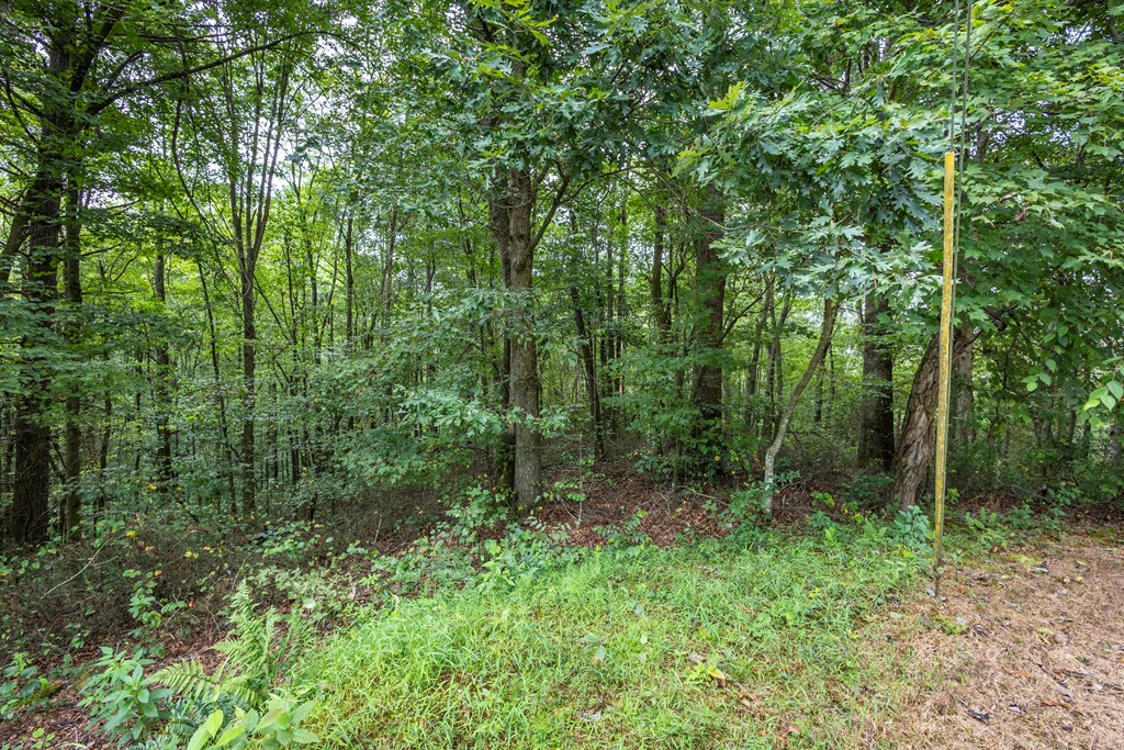 3-ac Chestnut Flts Road Andrews, NC 28901 - Photo 5 of 7 a view of outdoor space and green space