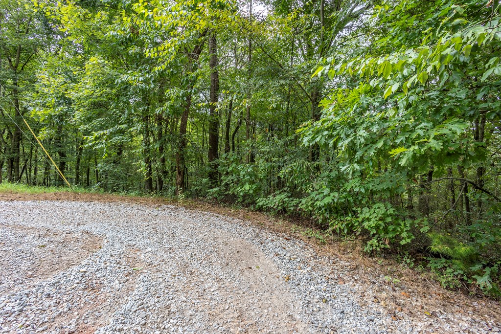 3-ac Chestnut Flts Road Andrews, NC 28901 - Photo 6 of 7 a view of a yard with a trees