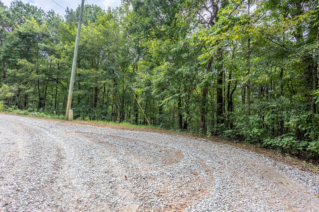 3-ac Chestnut Flts Road Andrews, NC 28901 - Photo 7 of 7 a view of a forest with trees in front of it