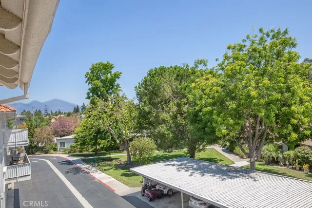 a view of a backyard