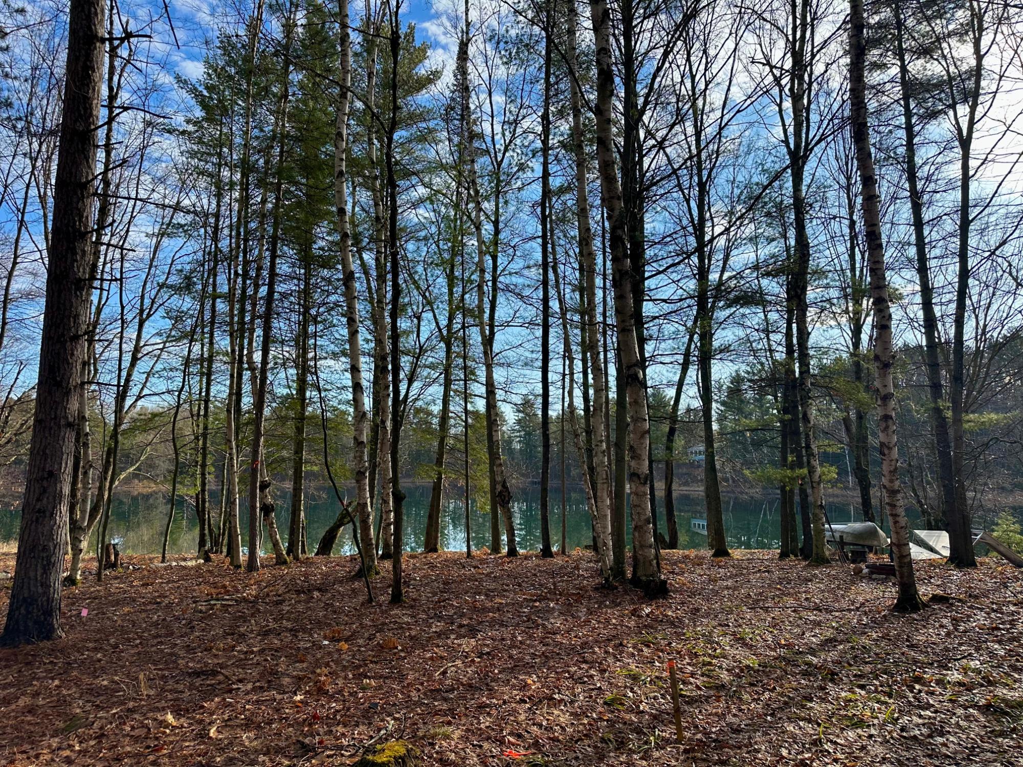 Lot 6 White Birch Road Woodruff, WI 54568 - Photo 5 of 14 Gallery Image 5