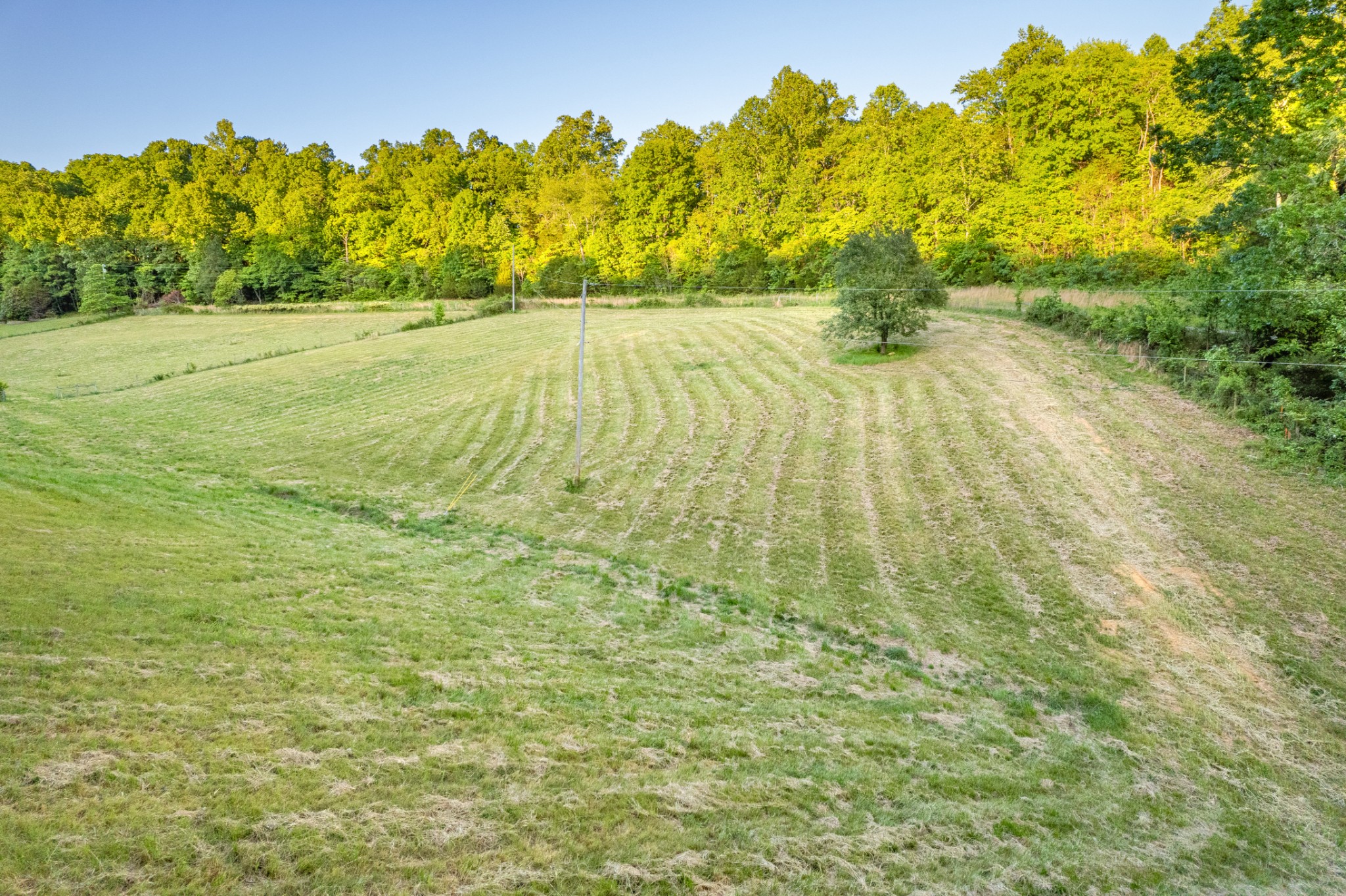 6 Young Road Pulaski, TN 38478 - Photo 12 of 20