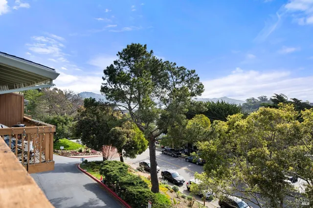 a view of backyard with outdoor seating and green space