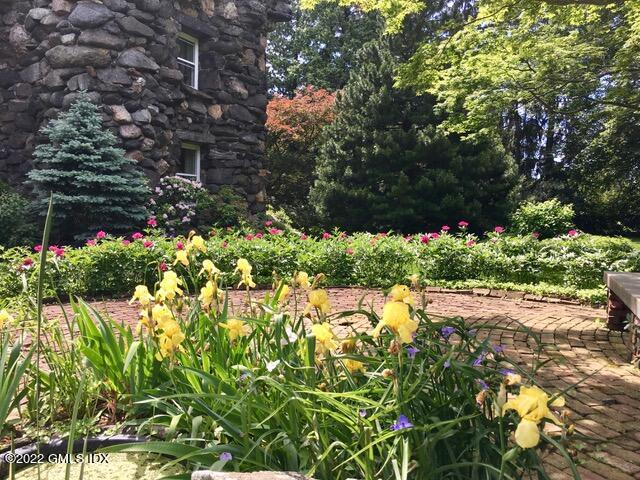 432 Field Point Road Greenwich, CT 06830 - Photo 49 of 56 a view of a garden with plants