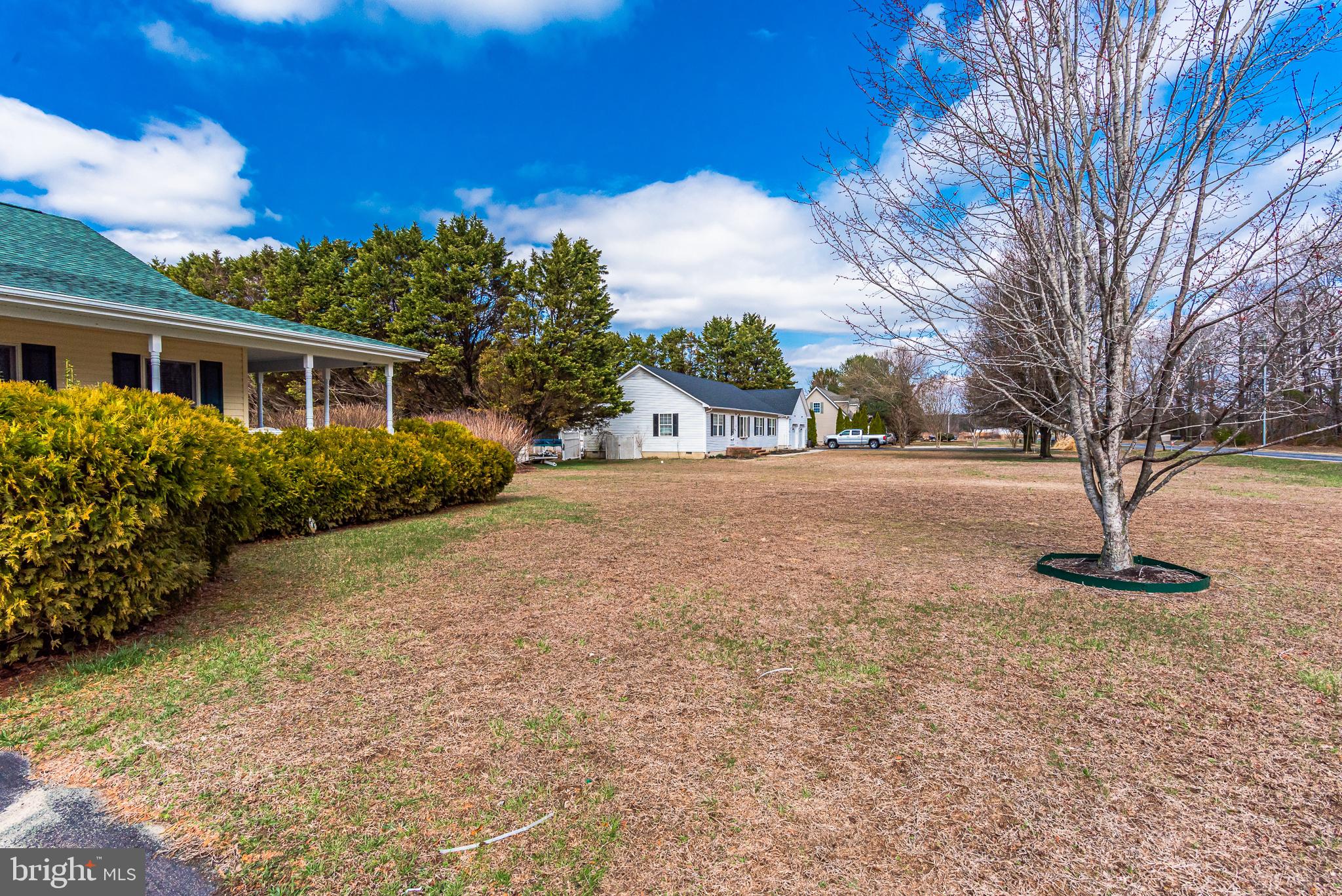 24604 Peterkins Road Georgetown, DE 19947 - Photo 39 of 49 Front Yard, Looking toward Right of Home