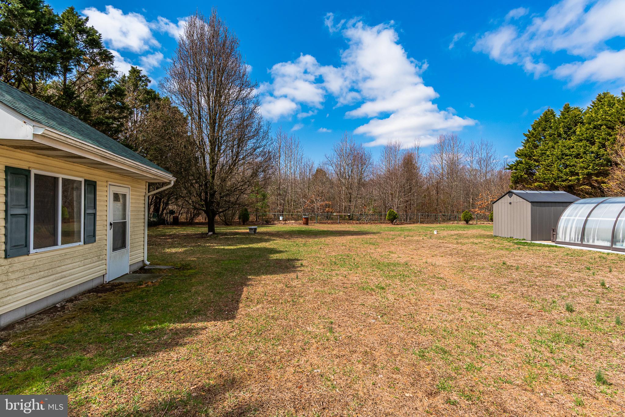 24604 Peterkins Road Georgetown, DE 19947 - Photo 42 of 49 Backyard