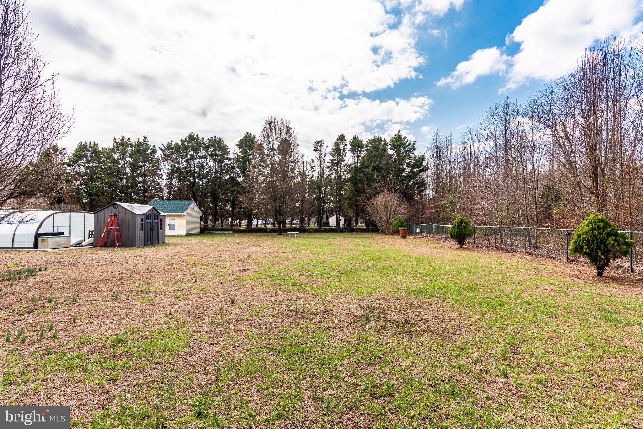24604 Peterkins Road Georgetown, DE 19947 - Photo 46 of 49 Backyard