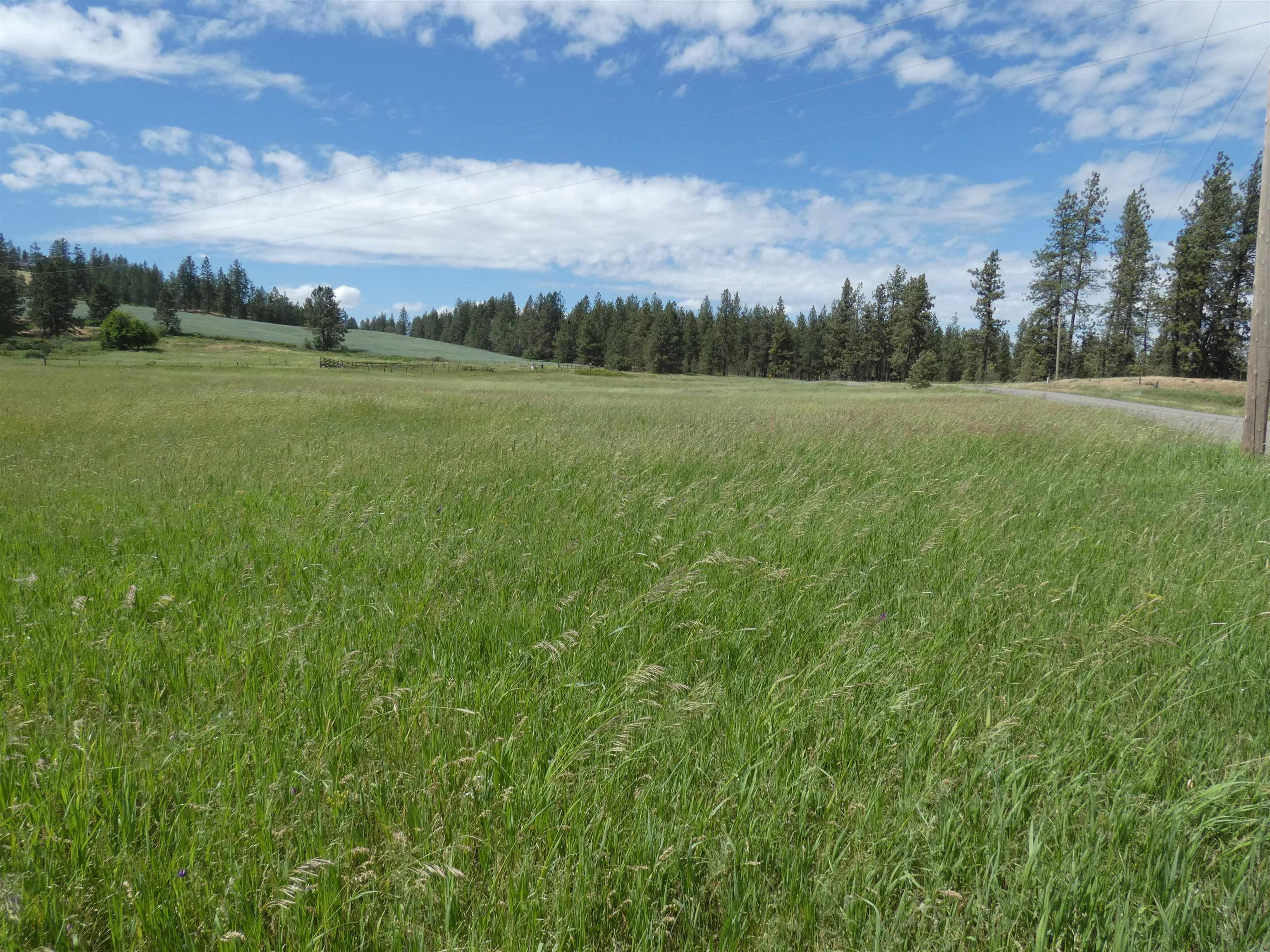 8309 West Jensen Road Cheney, WA 99004 - Photo 4 of 11