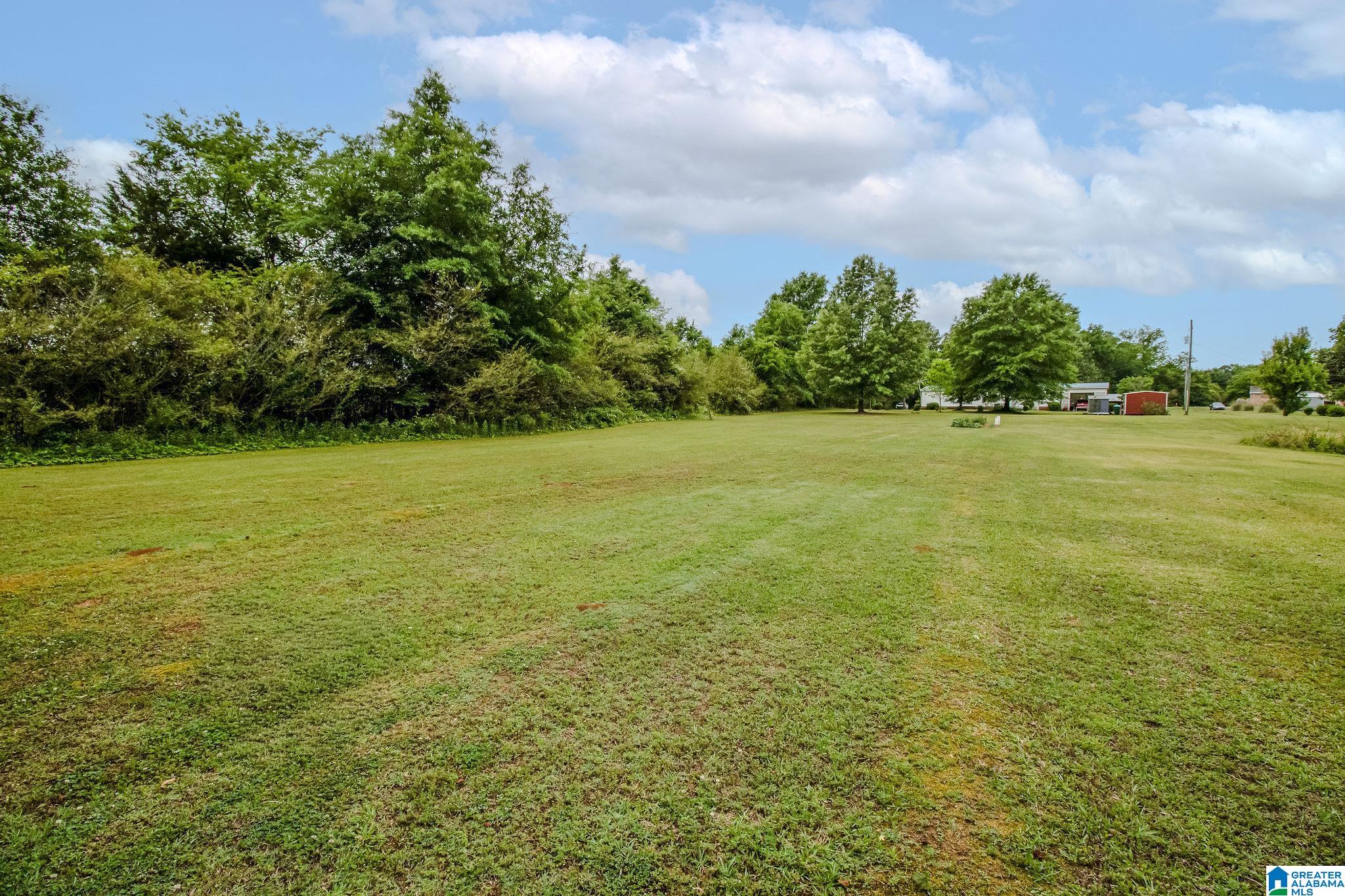 800 Curry Station Road Munford, AL 36268 - Photo 29 of 47