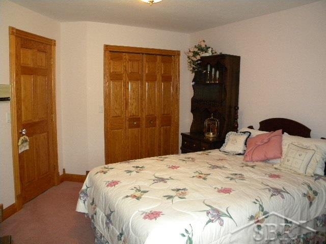 7333 Curtis Road Frankenmuth, MI 48734 - Photo 25 of 47 31255674-24.JPG