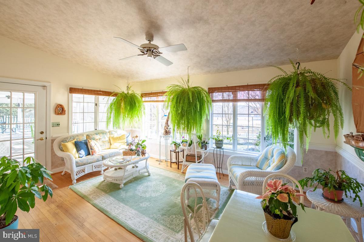 6089 Fishers Station Road Lothian, MD 20711 - Photo 26 of 75 Florida sun room overlooks pastures and pool