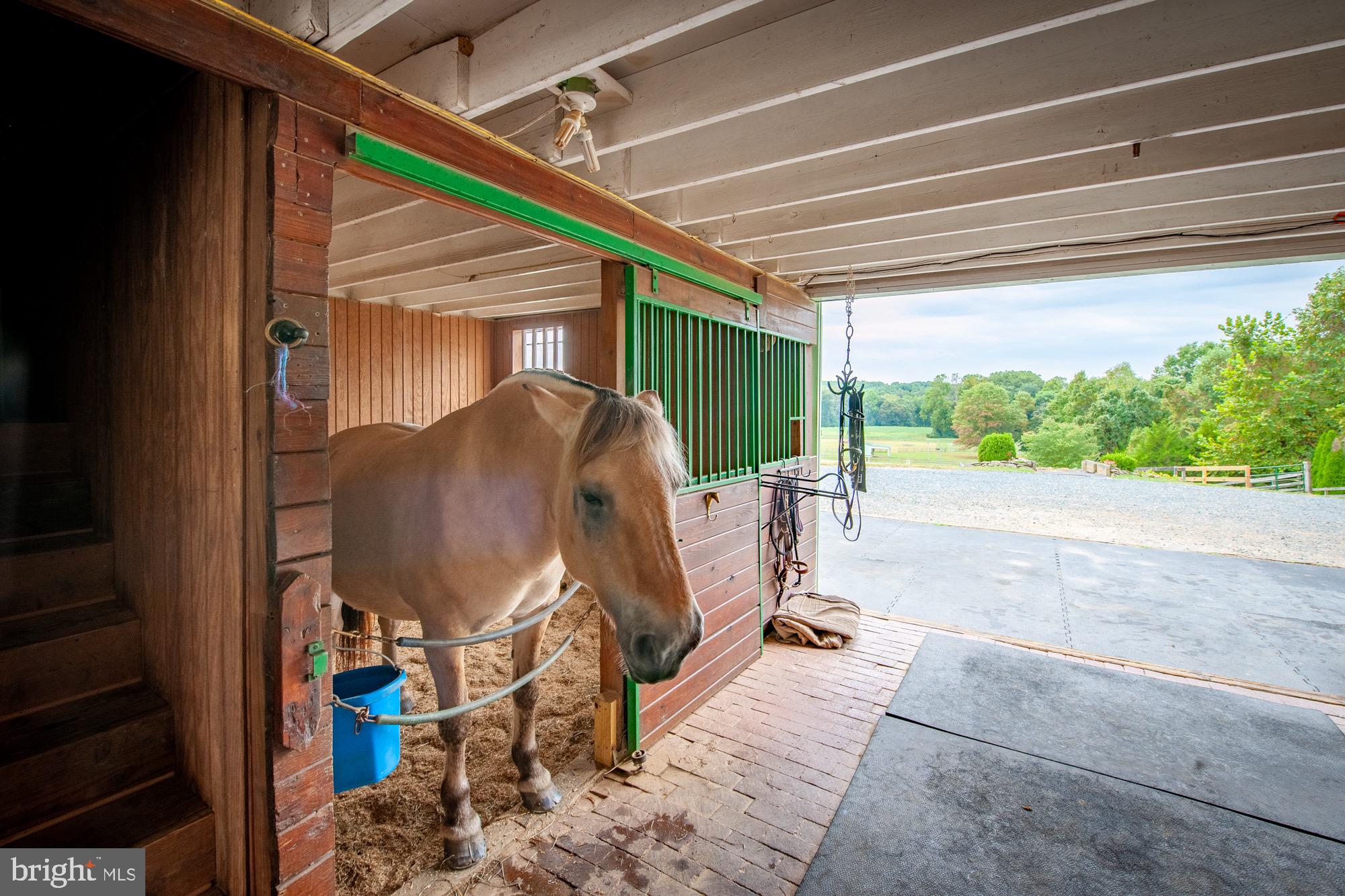 6089 Fishers Station Road Lothian, MD 20711 - Photo 67 of 75 Barn interior