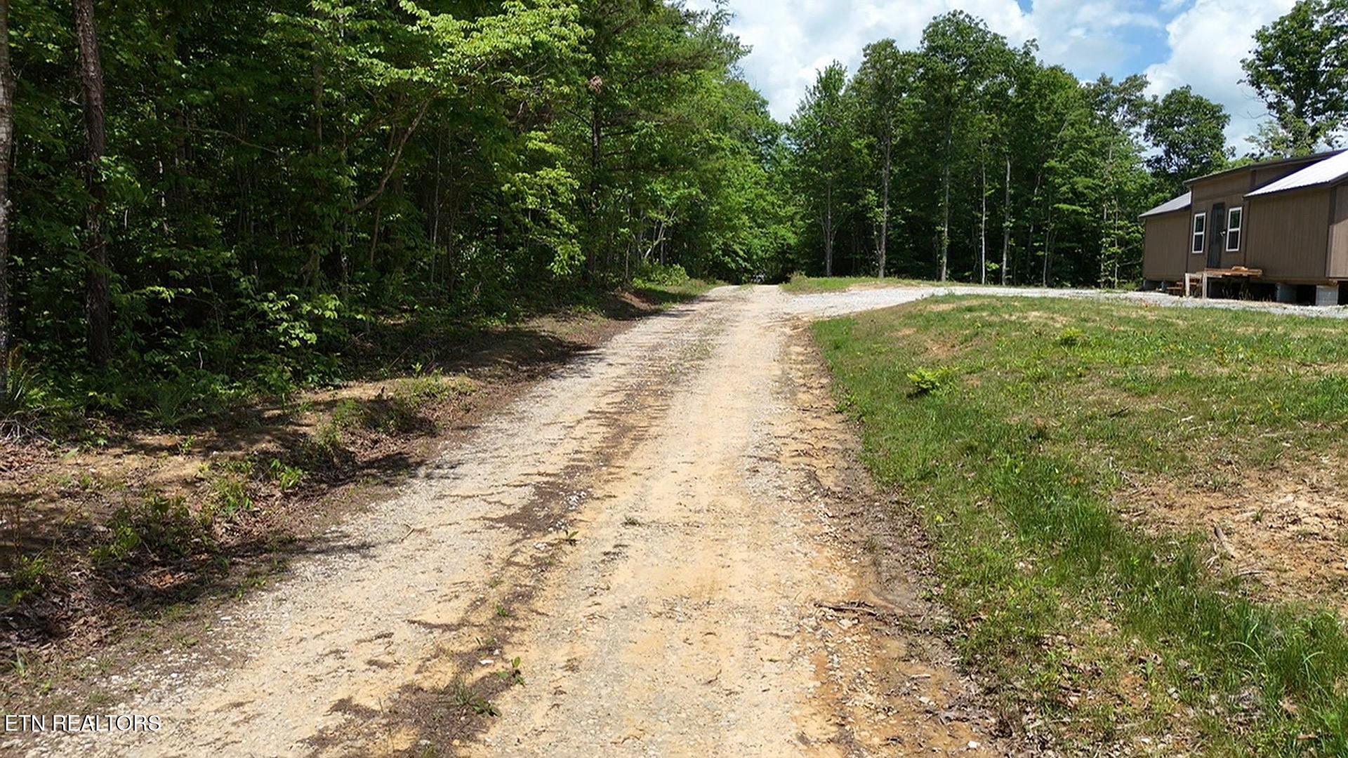 0 Sheep Ranch Road Robbins, TN 37852 - Photo 7 of 29 3srd