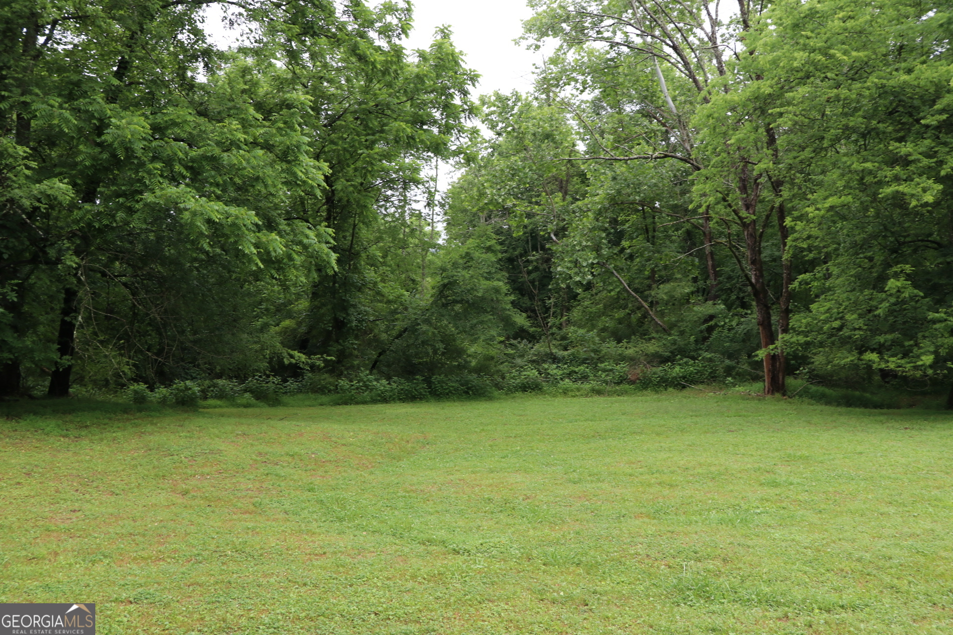 833 Neal Gap Road Summerville, GA 30747 - Photo 50 of 86