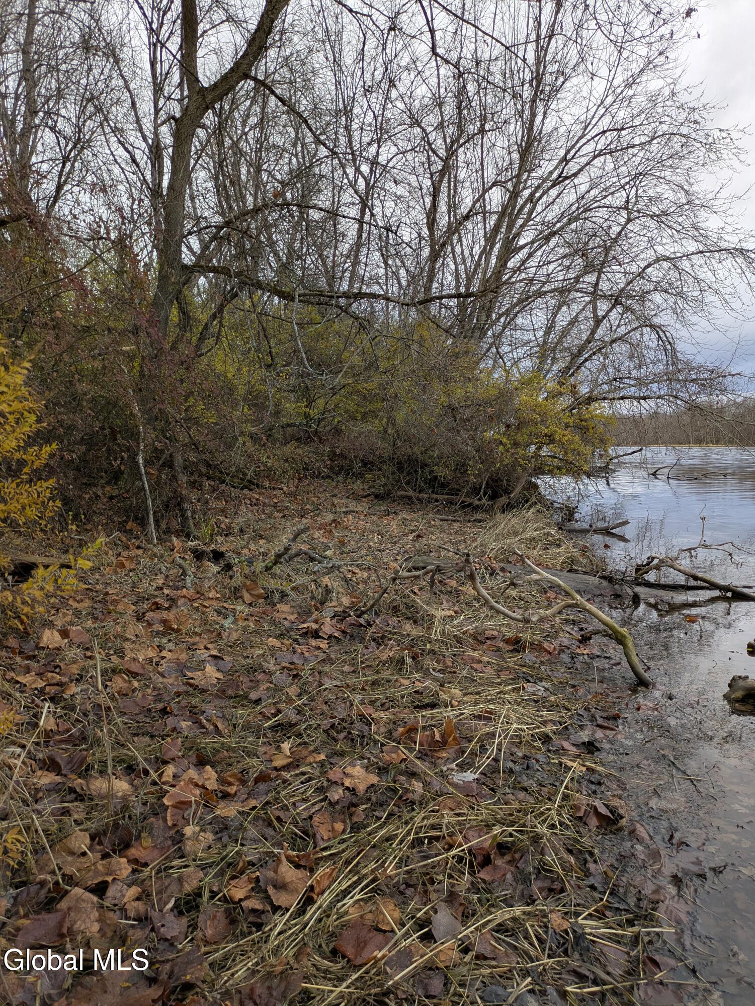 149 River Road Saratoga, NY 12871 - Photo 11 of 13 PXL_20251113_194319015