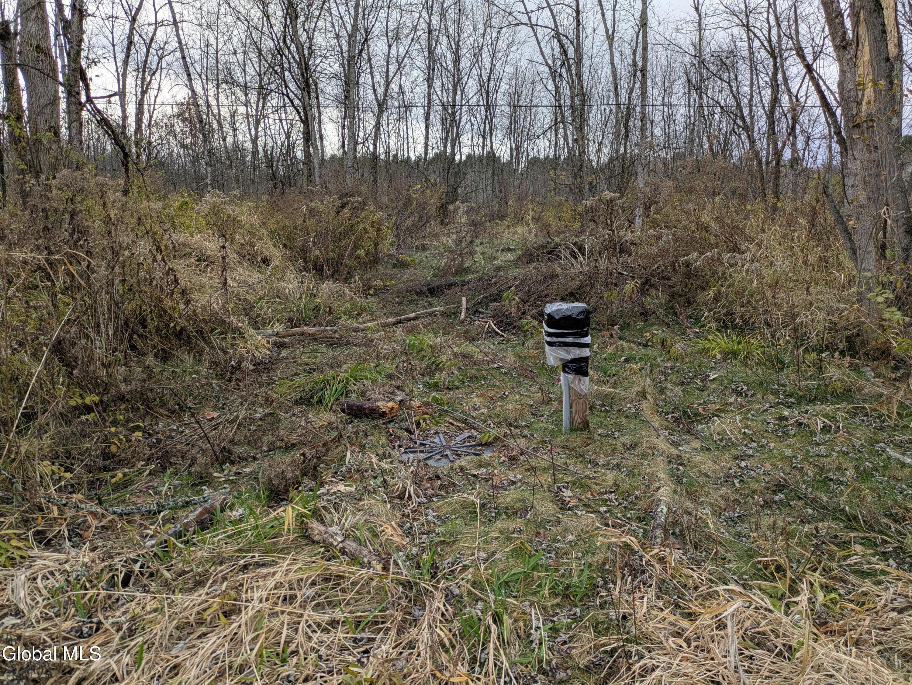 149 River Road Saratoga, NY 12871 - Photo 12 of 13 PXL_20251113_185348717