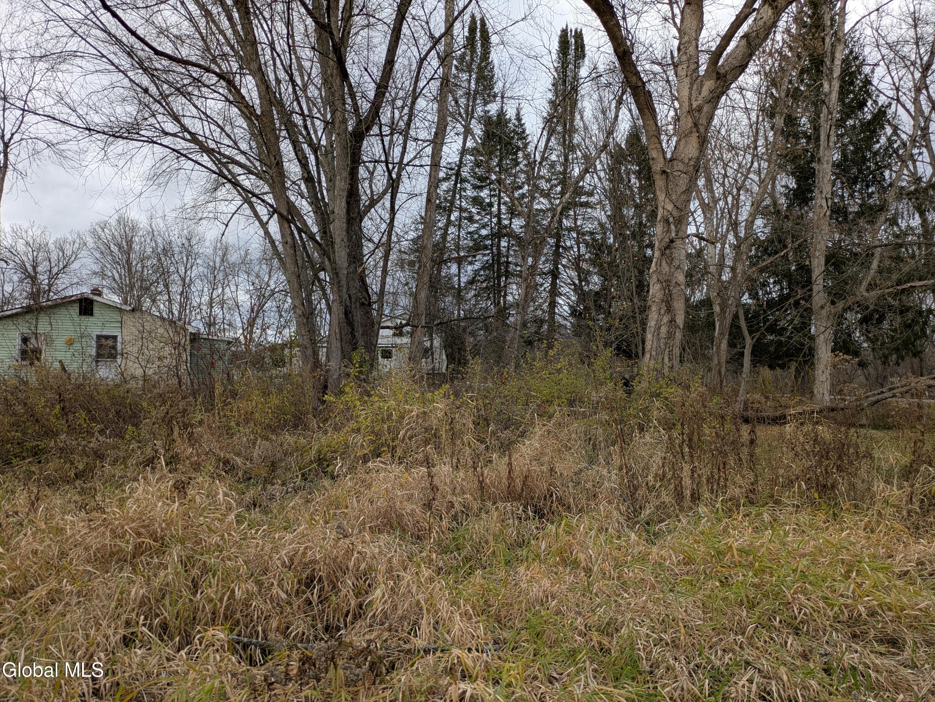 149 River Road Saratoga, NY 12871 - Photo 4 of 13 PXL_20251113_185355559