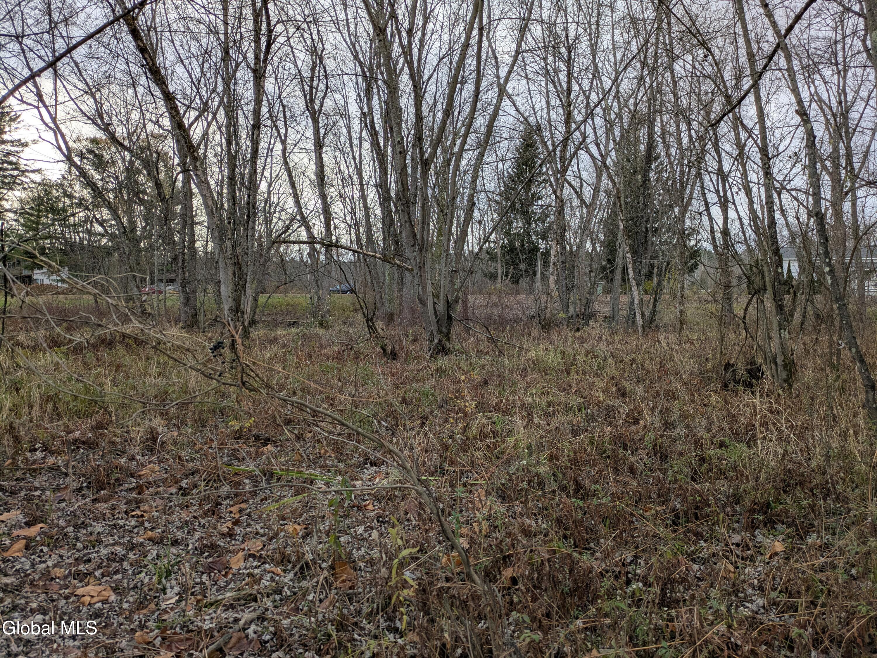 149 River Road Saratoga, NY 12871 - Photo 6 of 13 PXL_20251113_194419962