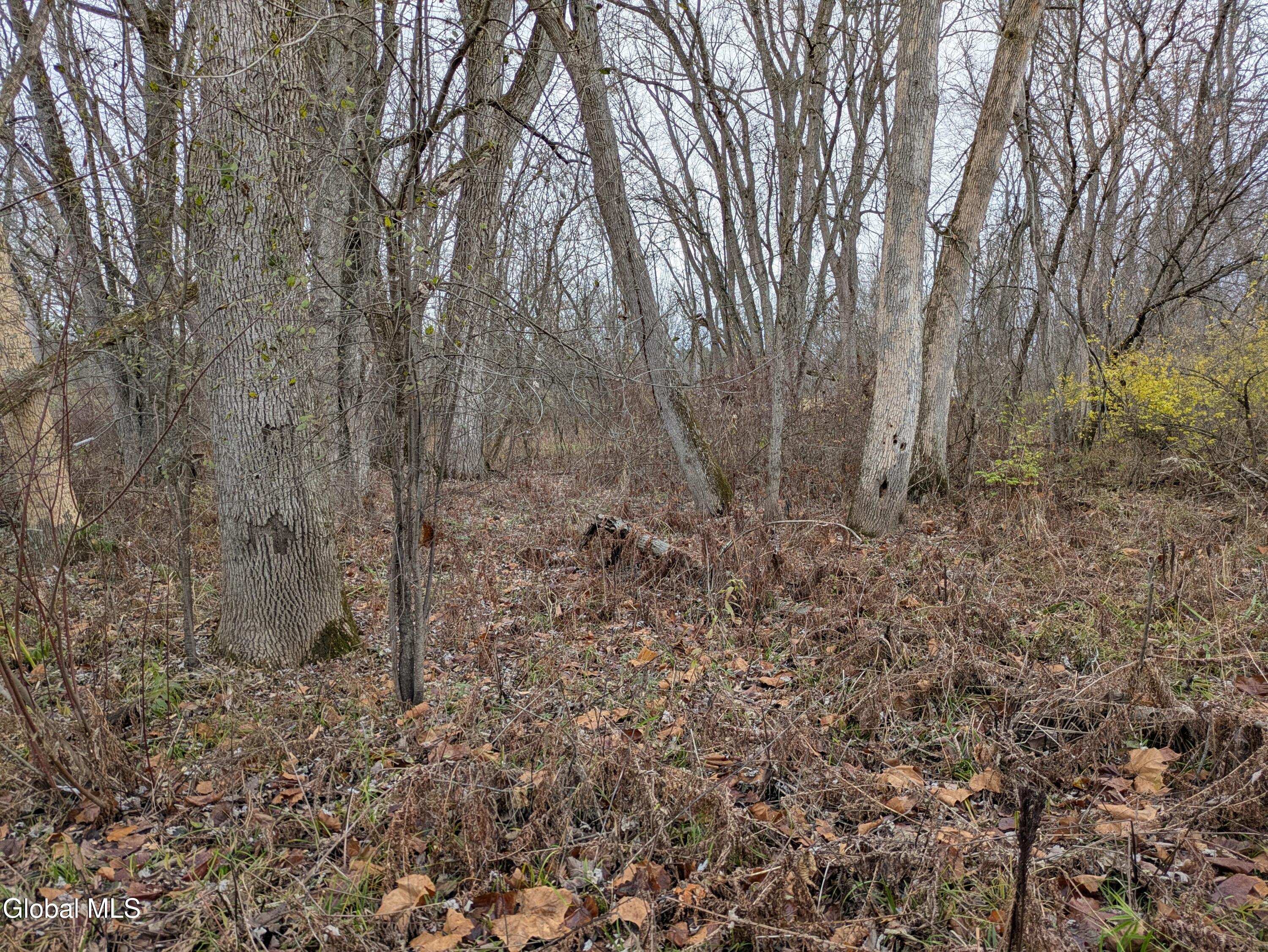 149 River Road Saratoga, NY 12871 - Photo 7 of 13 PXL_20251113_194354388