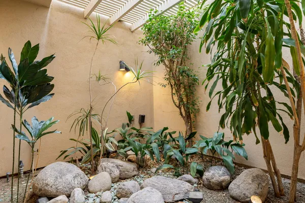 a plant with some trees in front of it