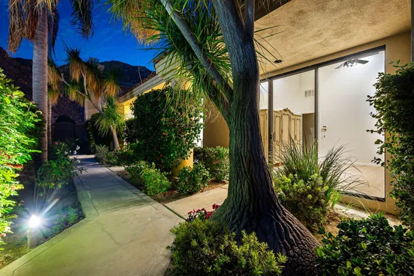 a view of a potted plants on a sidewalk