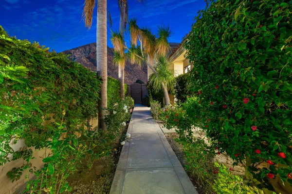 a view of a pathway both side of flowers