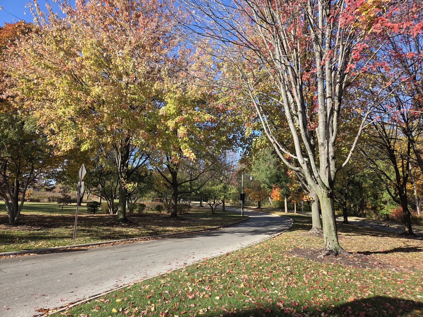 34 Logan Loop Highland Park, IL 60035 - Photo 56 of 82