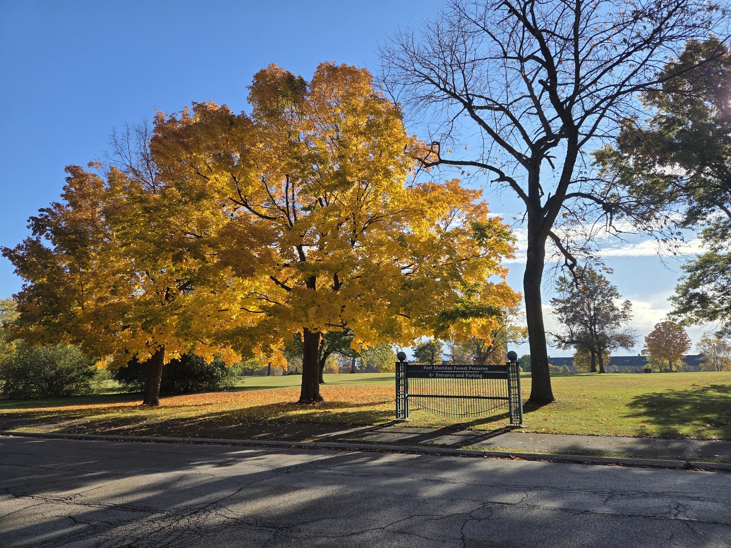 34 Logan Loop Highland Park, IL 60035 - Photo 57 of 82