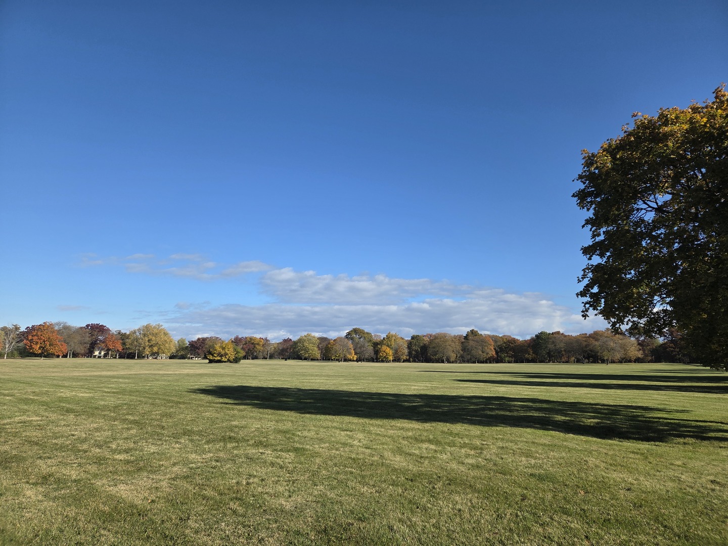 34 Logan Loop Highland Park, IL 60035 - Photo 62 of 82 a view of lake with houses